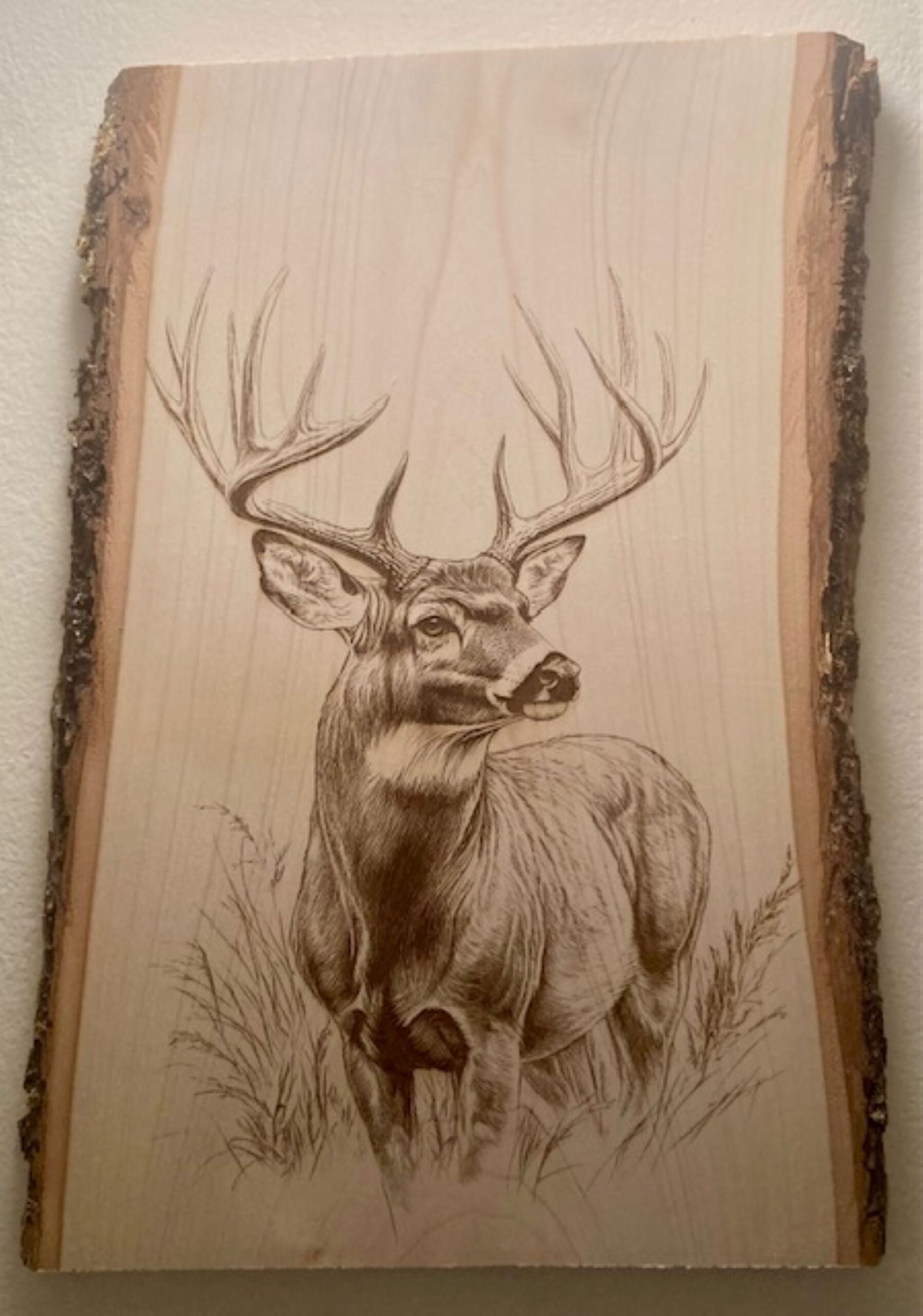 buck deer wood engraving buck deer wood engraving
