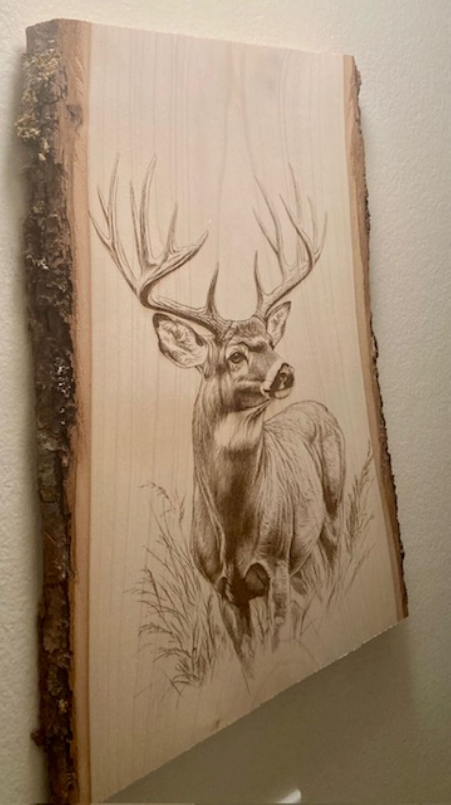 buck deer wood engraving buck deer wood engraving