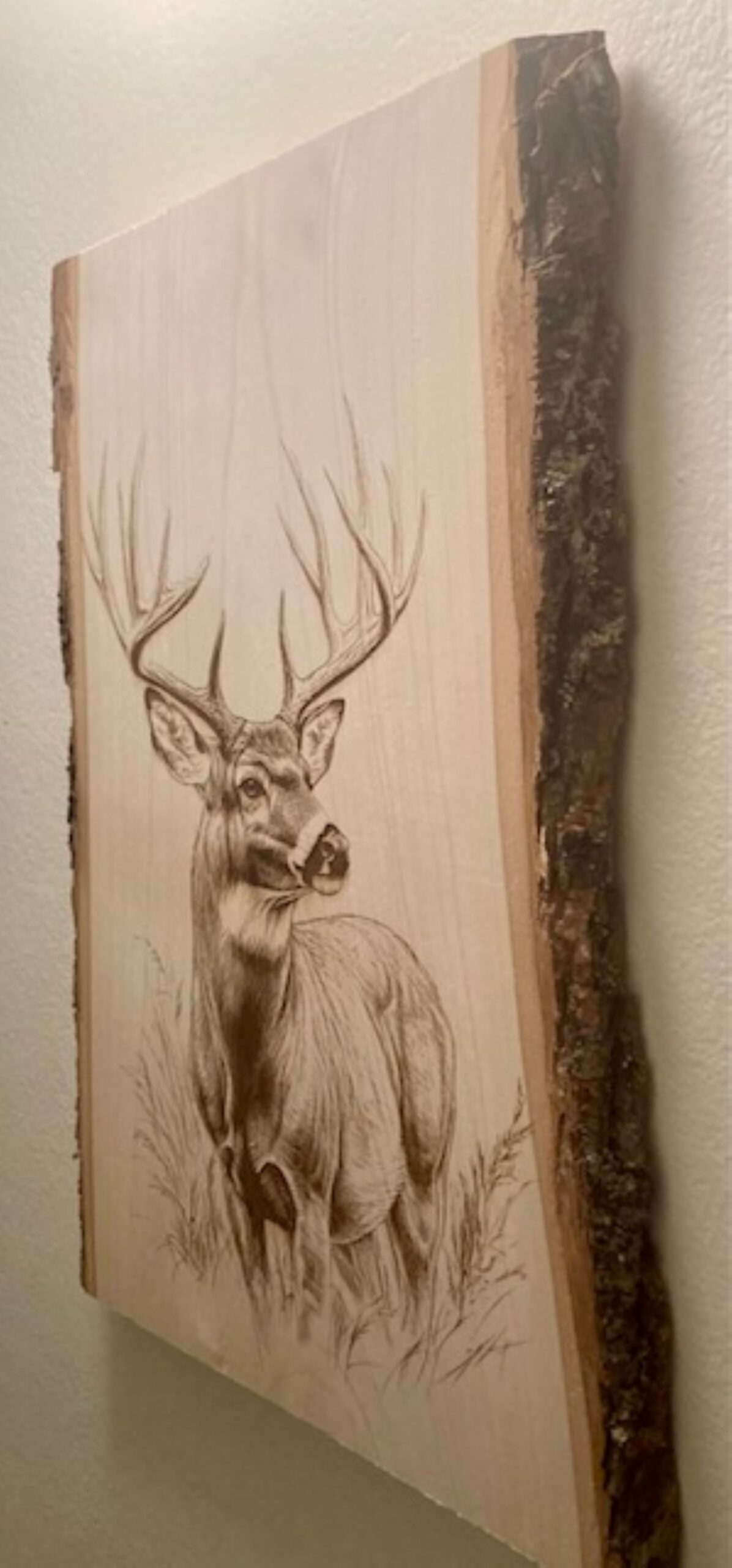 buck deer wood engraving buck deer wood engraving