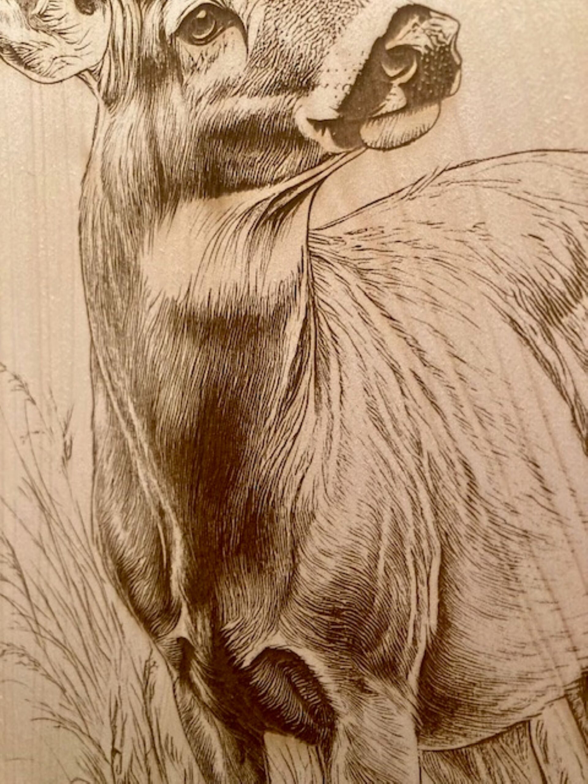 buck deer wood engraving buck deer wood engraving