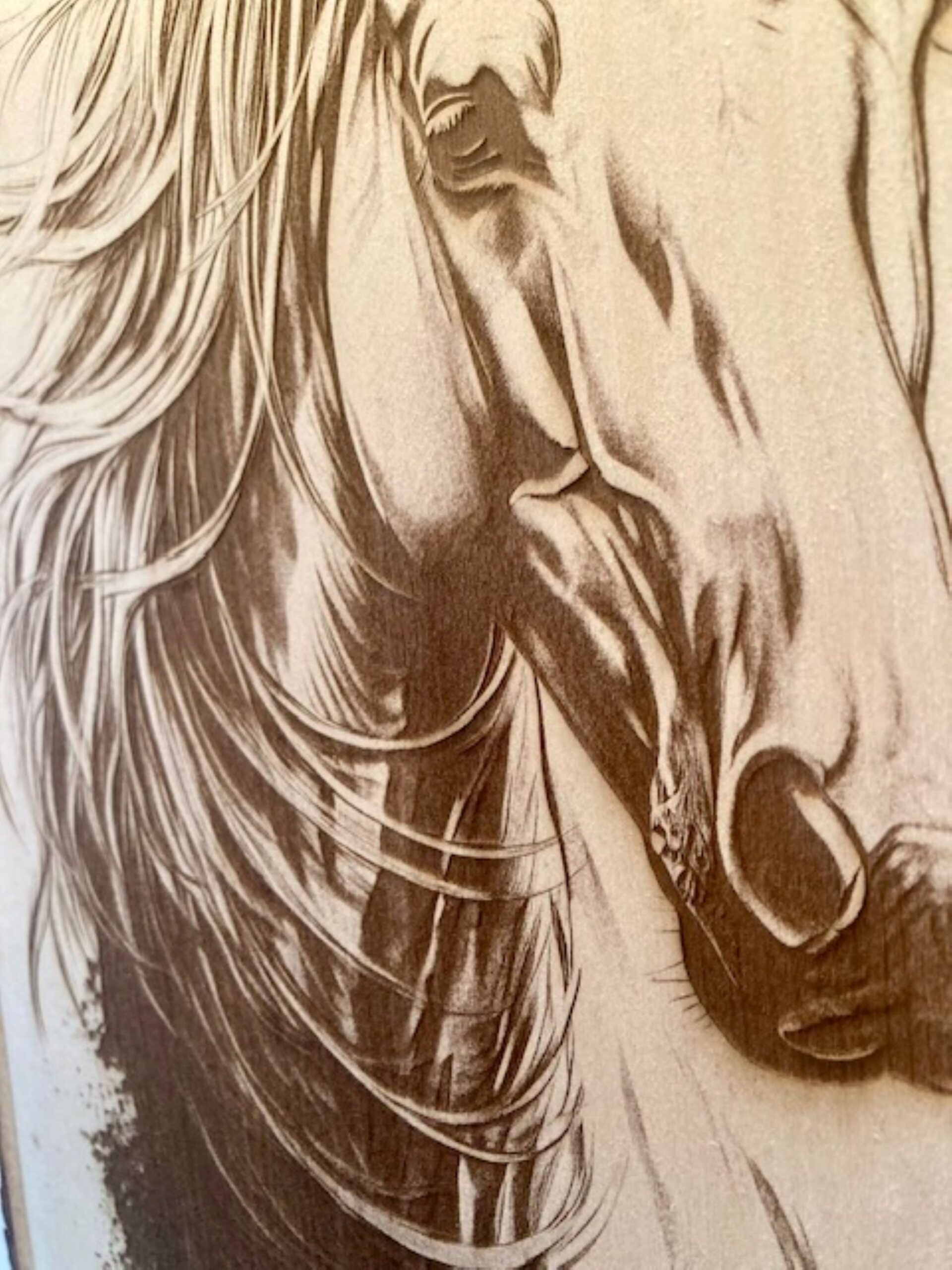 horse wood engraving horse wood engraving