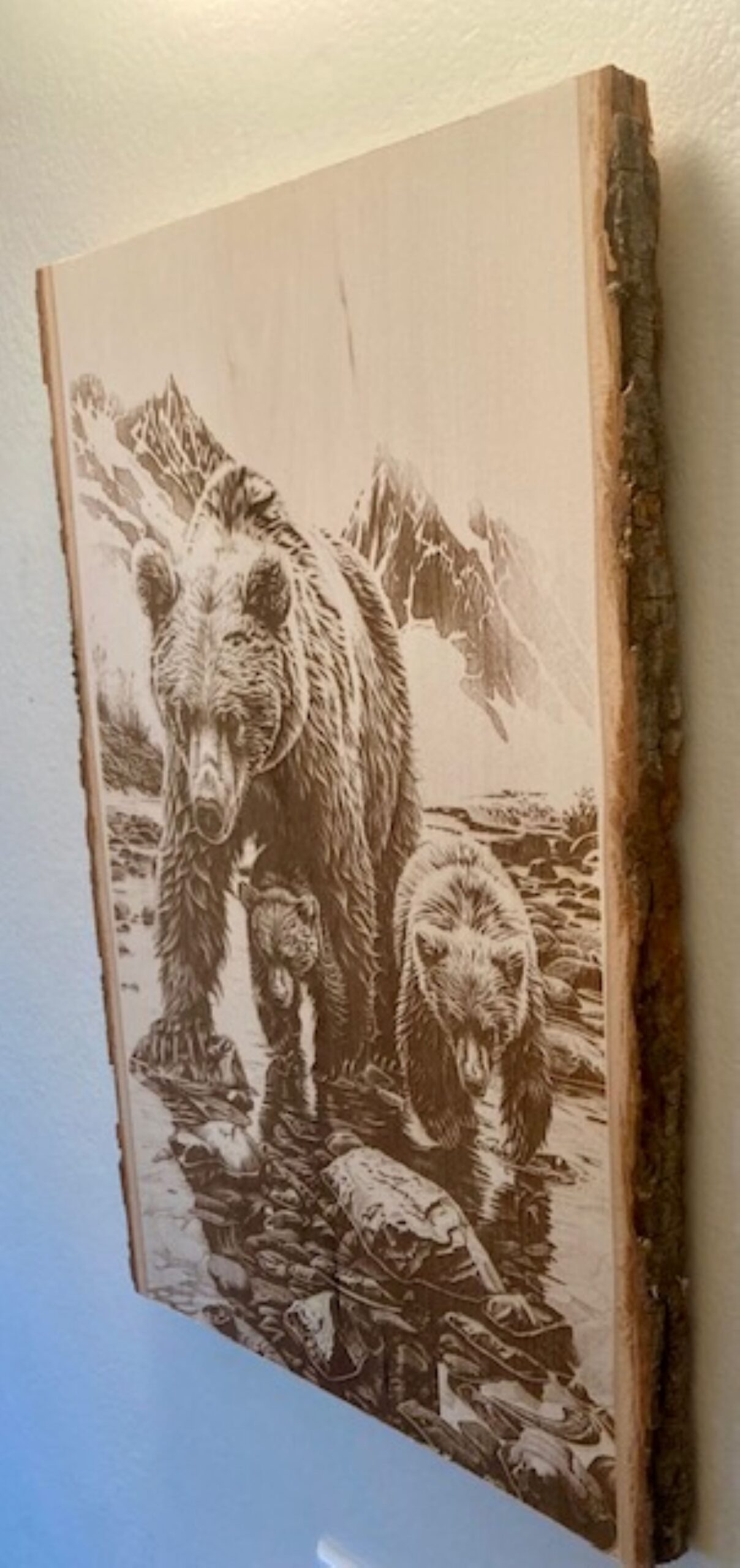 bear family bear family