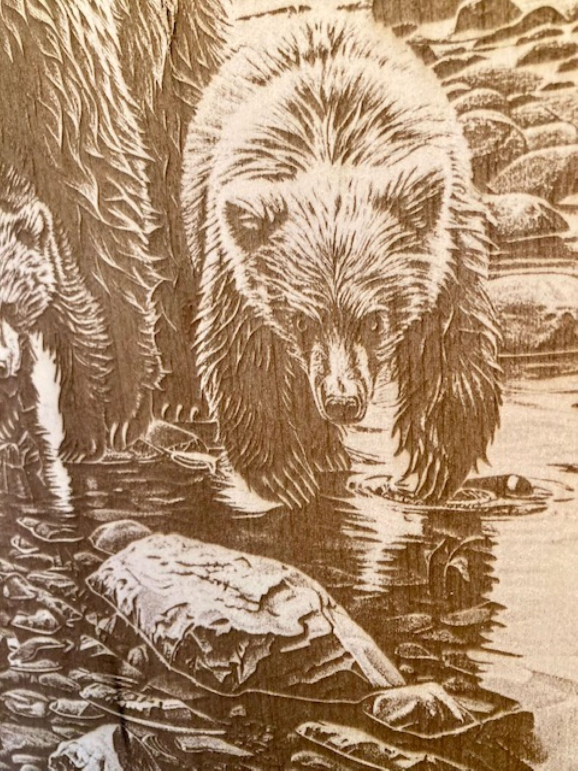 bear family bear family