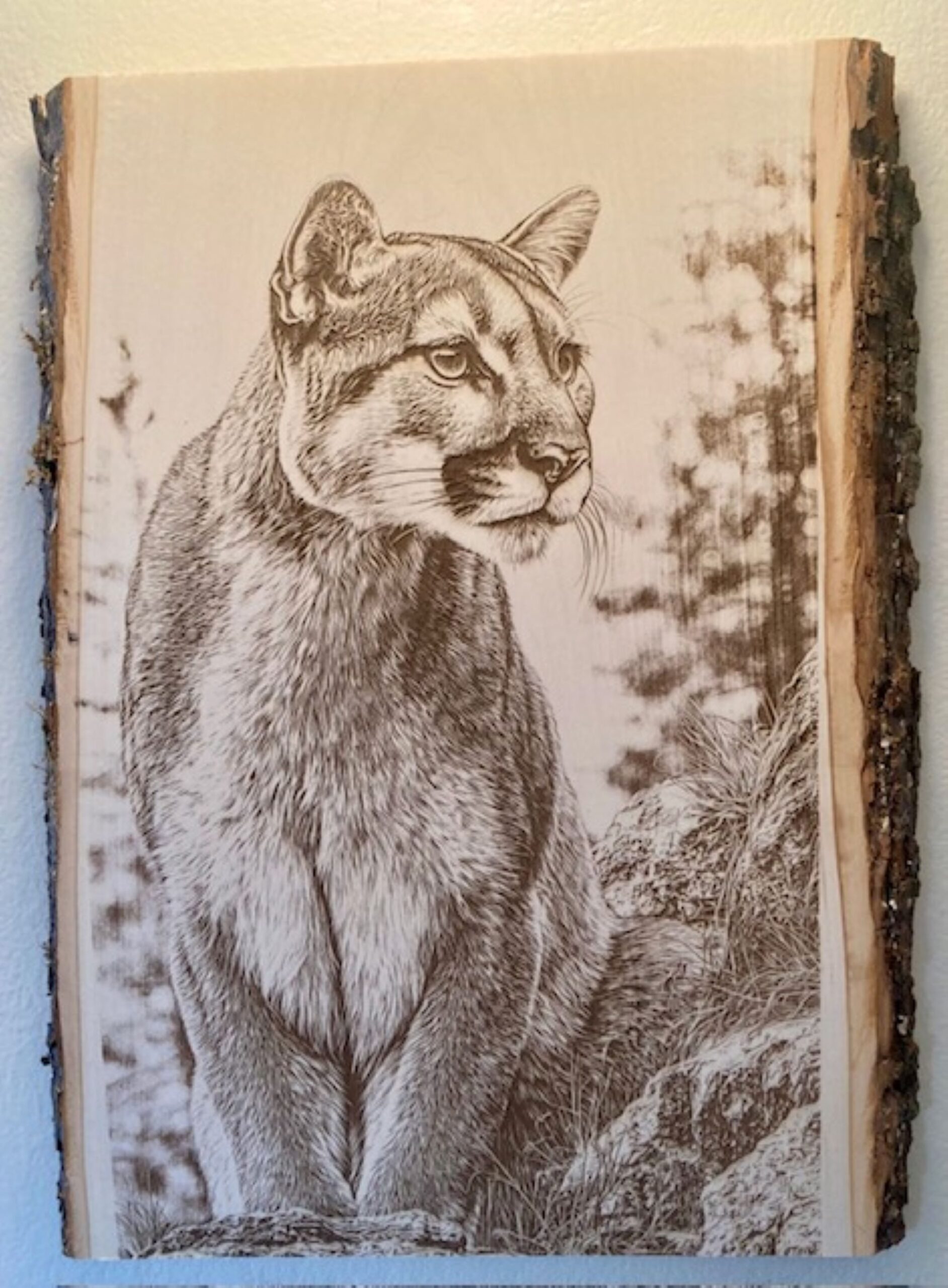 mountain lion wood plank – rustic wildlife décor, laser engraved cougar wall art mountain lion wood plank – rustic wildlife décor, laser engraved cougar wall art